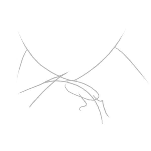 pteranodon01