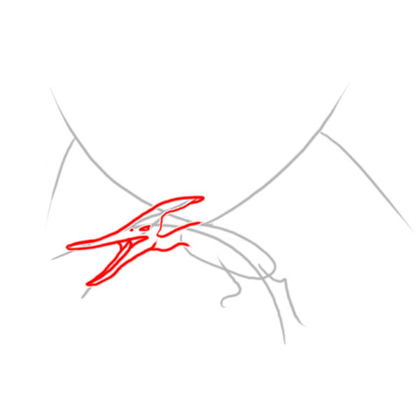 pteranodon02