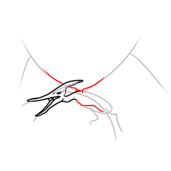 pteranodon03