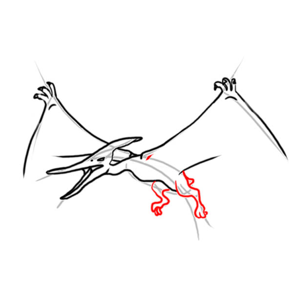 pteranodon06