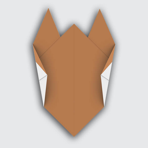 dog-cat12