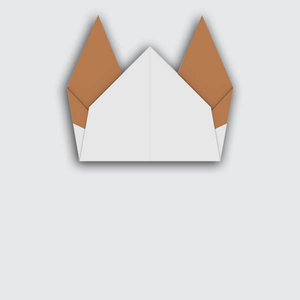 dog-cat15