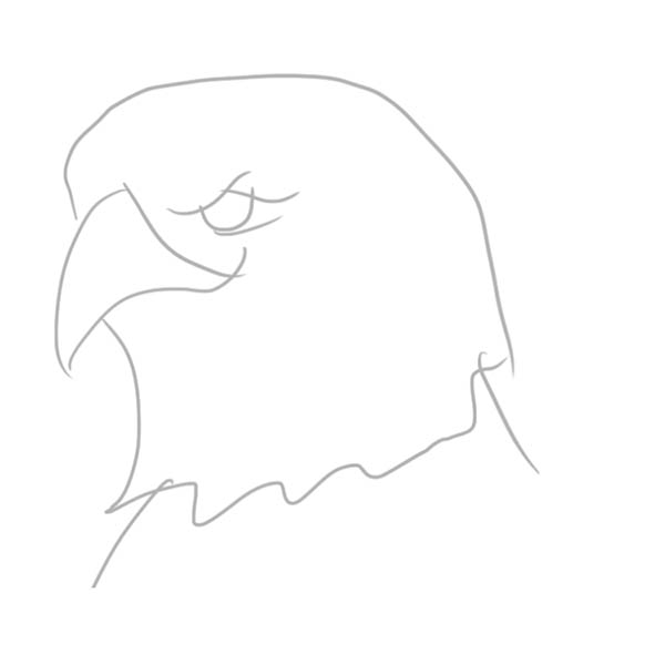 eagle01