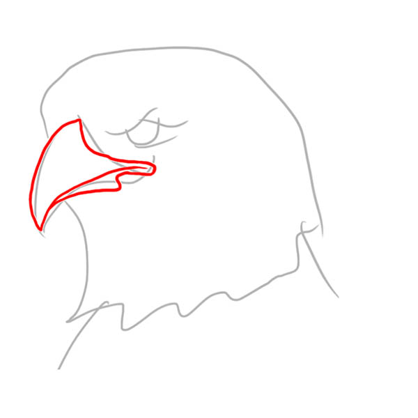 eagle02