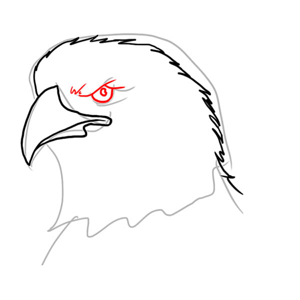eagle04