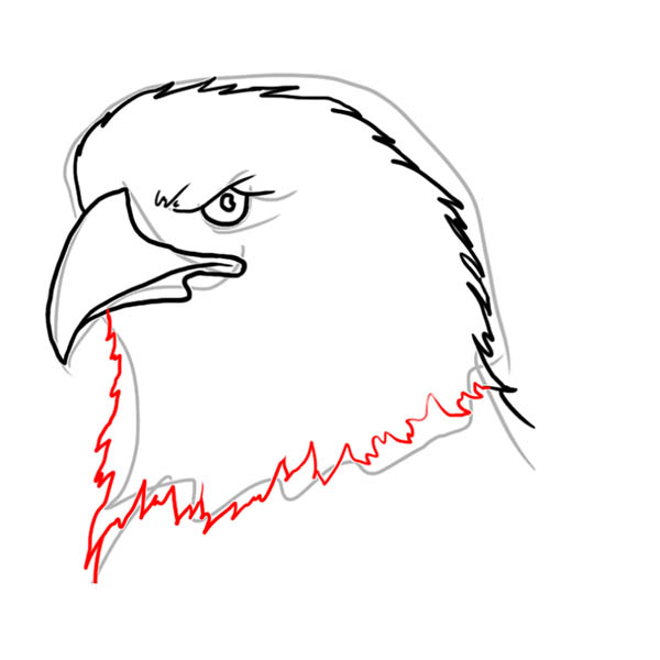 eagle05