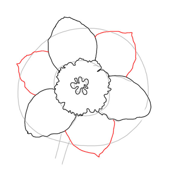 narcissus05