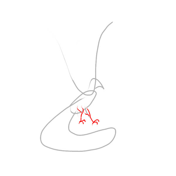 phoenix02