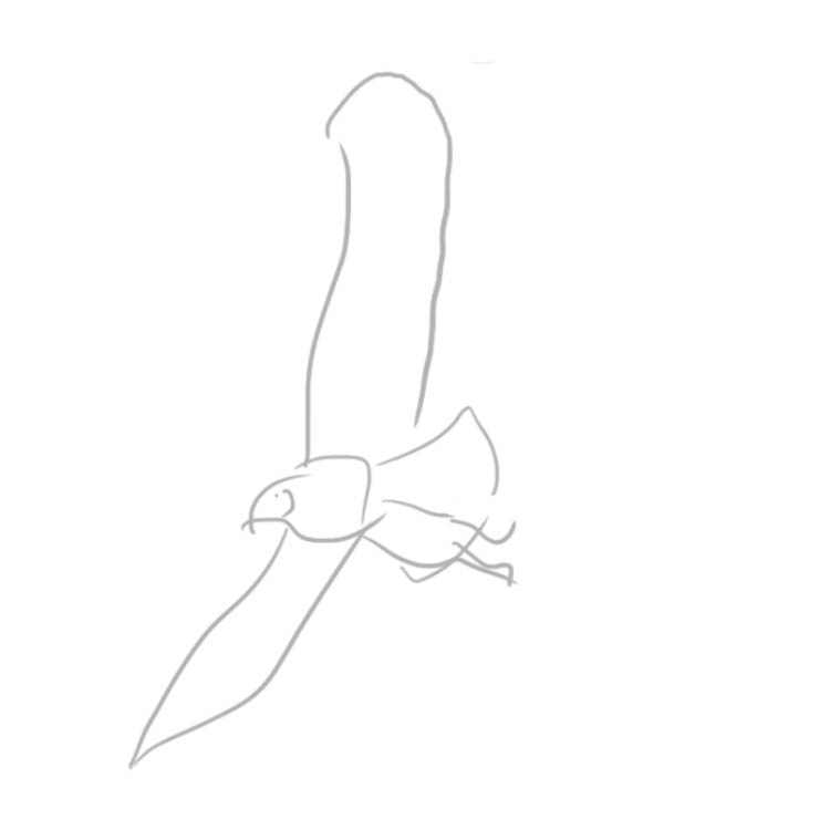 baldeagle01