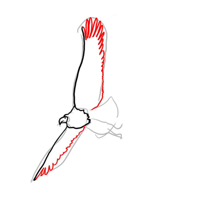 baldeagle04