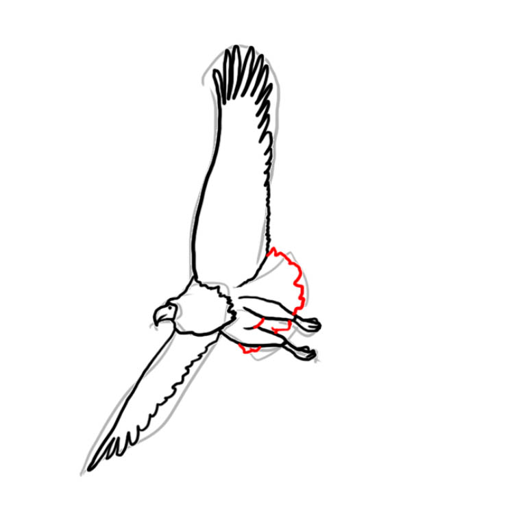 baldeagle07