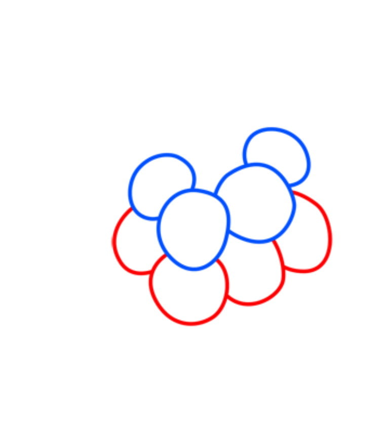 grapes03