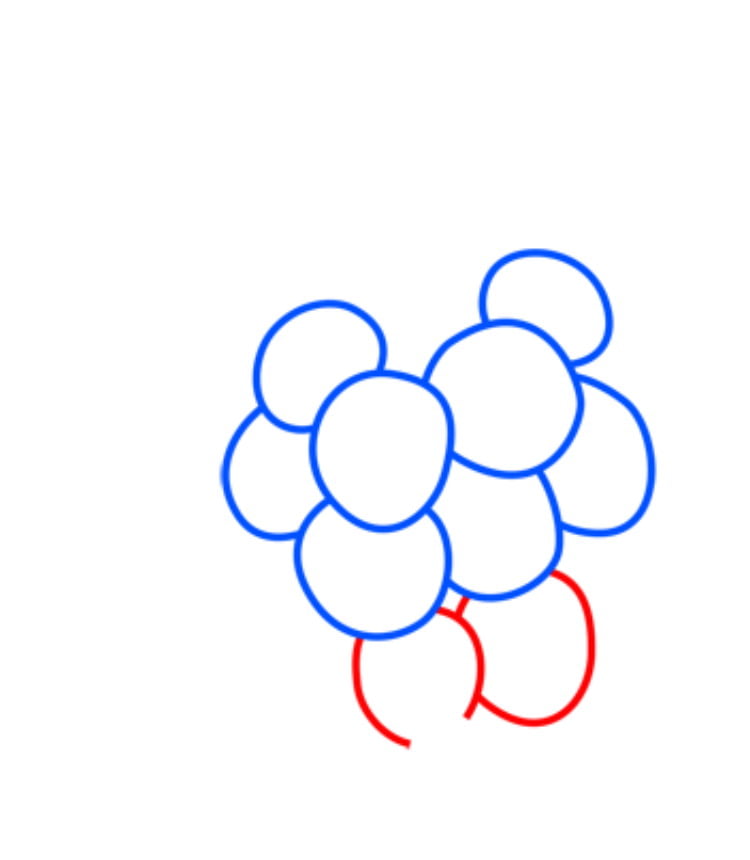 grapes04