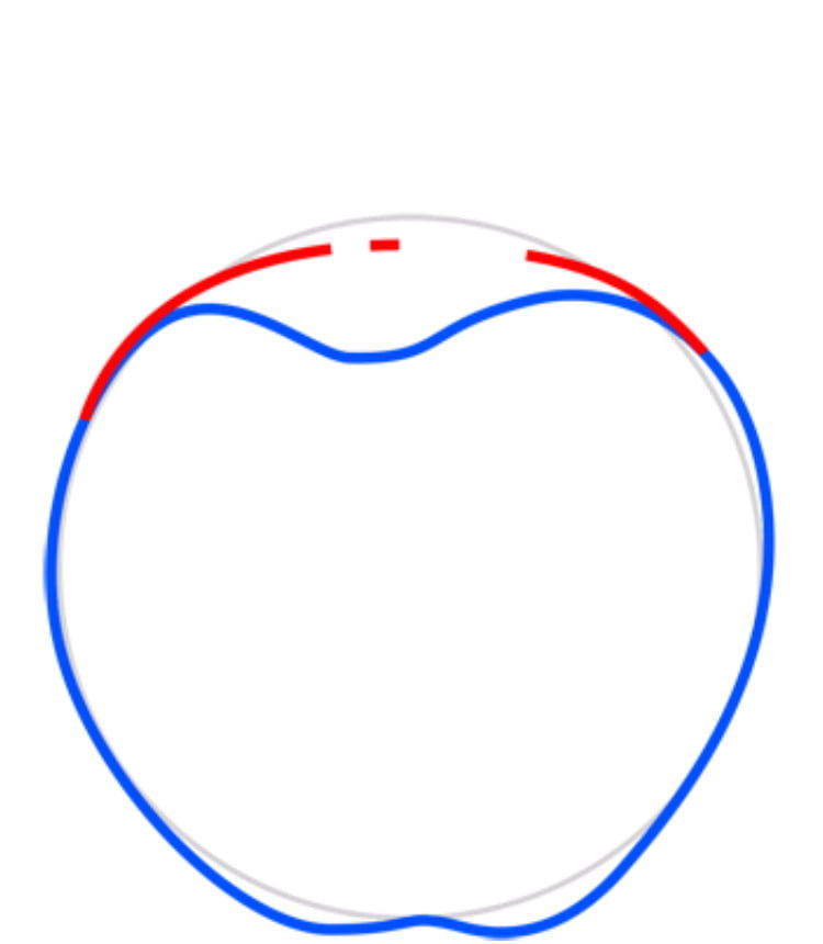 apple03