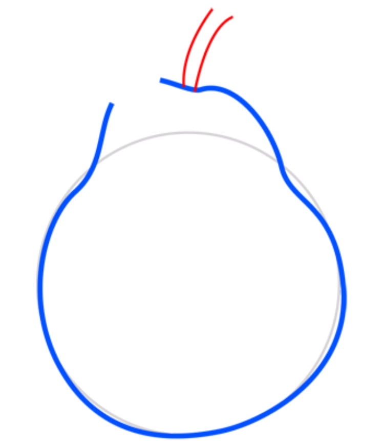 pear03