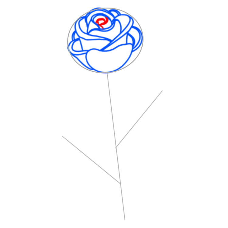 roza10
