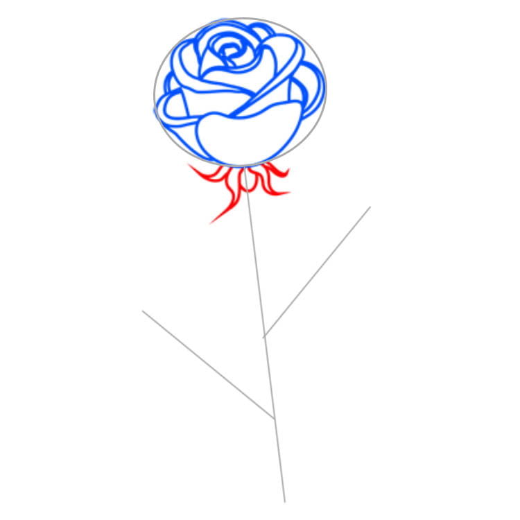 roza11